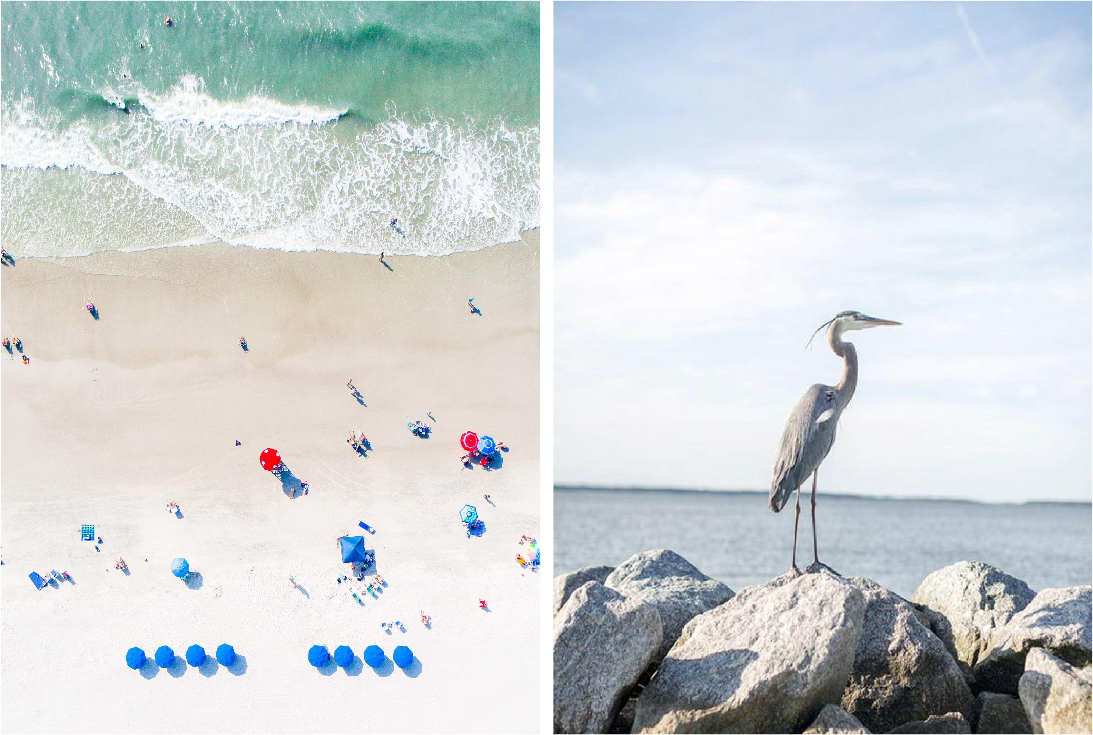 travel tuesday : hilton head island + the lowcountry