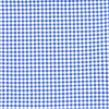 sky blue gingham