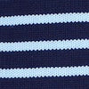 navy and peri blue stripe